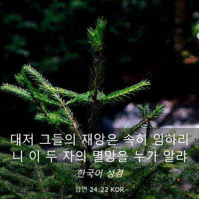 Picture 03 - 잠언 24:22 KOR - 대저 그들의 재앙은 속히 임하리니 - Bible Verse Picture