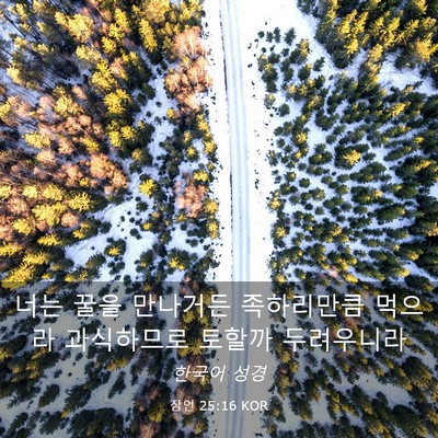 Picture 03 - 잠언 25:16 KOR - 너는 꿀을 만나거든 족하리만큼 - Bible Verse Picture