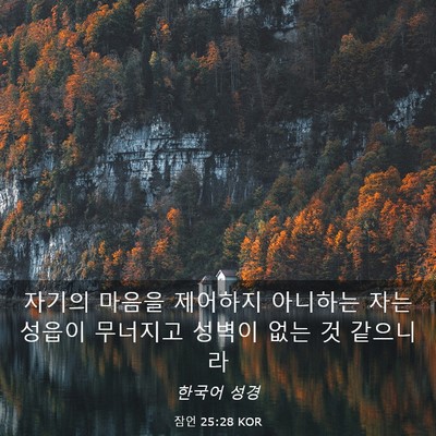 Picture 03 - 잠언 25:28 KOR - 자기의 마음을 제어하지 아니하는 - Bible Verse Picture