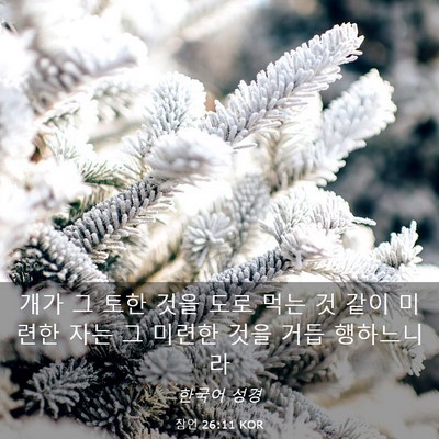 Picture 03 - 잠언 26:11 KOR - 개가 그 토한 것을 도로 먹는 것 같이 - Bible Verse Picture