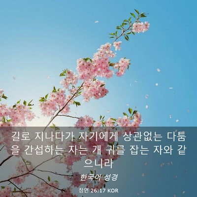 Picture 03 - 잠언 26:17 KOR - 길로 지나다가 자기에게 상관없는 - Bible Verse Picture