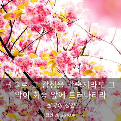 Picture 03 - 잠언 26:26 KOR - 궤휼로 그 감정을 감출지라도 그 - Bible Verse Picture