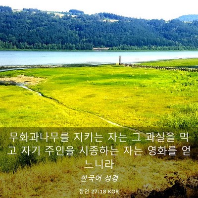Picture 03 - 잠언 27:18 KOR - 무화과나무를 지키는 자는 그 과실을 - Bible Verse Picture