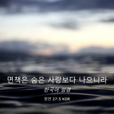 Picture 03 - 잠언 27:5 KOR - 면책은 숨은 사랑보다 - Bible Verse Picture