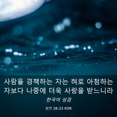 Picture 03 - 잠언 28:23 KOR - 사람을 경책하는 자는 혀로 아첨하는 - Bible Verse Picture
