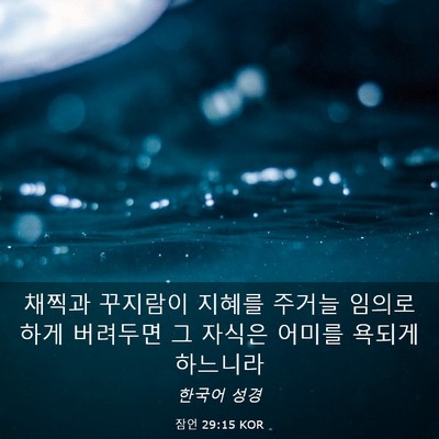Picture 03 - 잠언 29:15 KOR - 채찍과 꾸지람이 지혜를 주거늘 - Bible Verse Picture