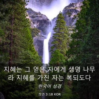 Picture 03 - 잠언 3:18 KOR - 지혜는 그 얻은 자에게 생명 나무라 - Bible Verse Picture