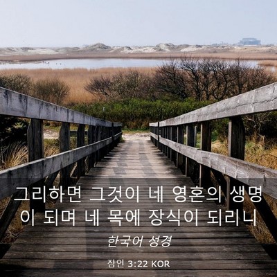 Picture 03 - 잠언 3:22 KOR - 그리하면 그것이 네 영혼의 생명이 - Bible Verse Picture