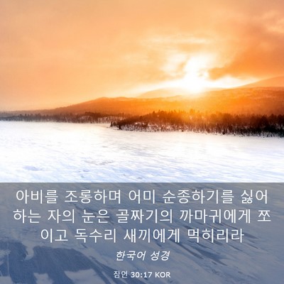 Picture 03 - 잠언 30:17 KOR - 아비를 조롱하며 어미 순종하기를 - Bible Verse Picture