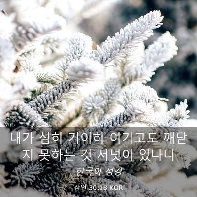 Picture 03 - 잠언 30:18 KOR - 내가 심히 기이히 여기고도 깨닫지 - Bible Verse Picture