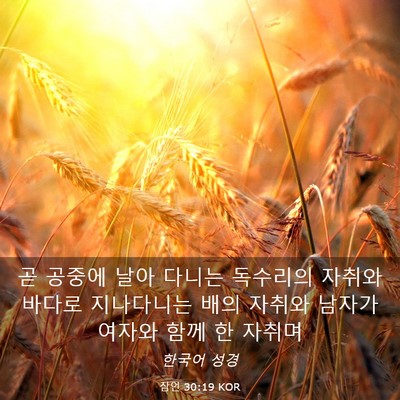Picture 03 - 잠언 30:19 KOR - 곧 공중에 날아 다니는 독수리의 - Bible Verse Picture