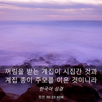Picture 03 - 잠언 30:23 KOR - 꺼림을 받는 계집이 시집간 것과 - Bible Verse Picture