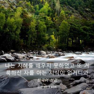 Picture 03 - 잠언 30:3 KOR - 나는 지혜를 배우지 못하였고 또 - Bible Verse Picture