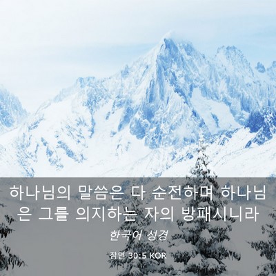 Picture 03 - 잠언 30:5 KOR - 하나님의 말씀은 다 순전하며 - Bible Verse Picture