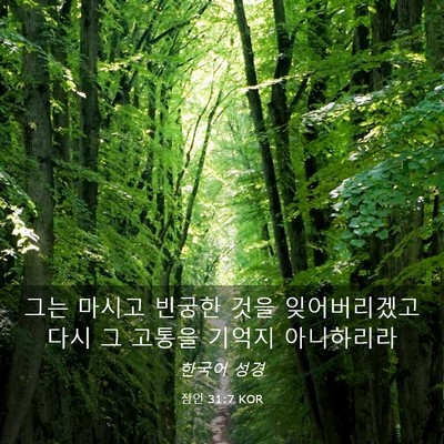 Picture 03 - 잠언 31:7 KOR - 그는 마시고 빈궁한 것을 - Bible Verse Picture