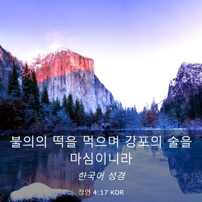 Picture 03 - 잠언 4:17 KOR - 불의의 떡을 먹으며 강포의 술을 - Bible Verse Picture