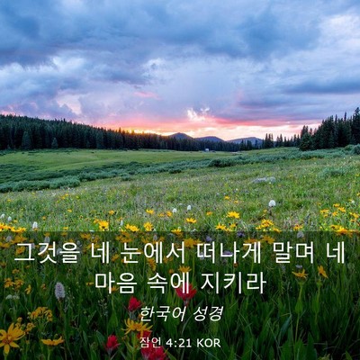 Picture 03 - 잠언 4:21 KOR - 그것을 네 눈에서 떠나게 말며 네 - Bible Verse Picture