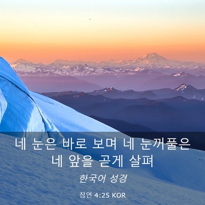 Picture 03 - 잠언 4:25 KOR - 네 눈은 바로 보며 네 눈꺼풀은 네 - Bible Verse Picture