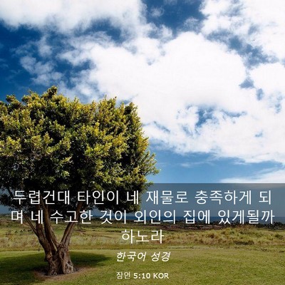 Picture 03 - 잠언 5:10 KOR - 두렵건대 타인이 네 재물로 충족하게 - Bible Verse Picture