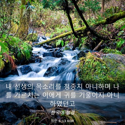Picture 03 - 잠언 5:13 KOR - 내 선생의 목소리를 청종치 아니하며 - Bible Verse Picture