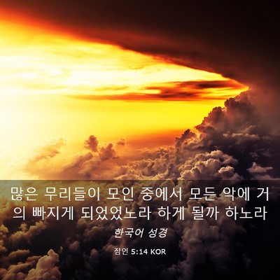 Picture 03 - 잠언 5:14 KOR - 많은 무리들이 모인 중에서 모든 - Bible Verse Picture