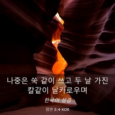 Picture 03 - 잠언 5:4 KOR - 나중은 쑥 같이 쓰고 두 날 가진 - Bible Verse Picture