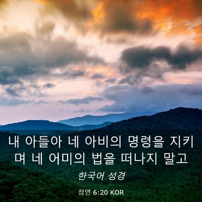Picture 03 - 잠언 6:20 KOR - 내 아들아 네 아비의 명령을 지키며 - Bible Verse Picture