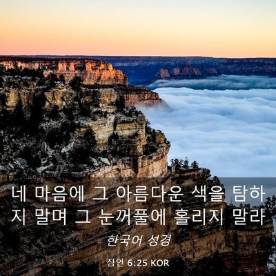 Picture 03 - 잠언 6:25 KOR - 네 마음에 그 아름다운 색을 탐하지 - Bible Verse Picture