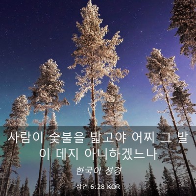 Picture 03 - 잠언 6:28 KOR - 사람이 숯불을 밟고야 어찌 그 발이 - Bible Verse Picture