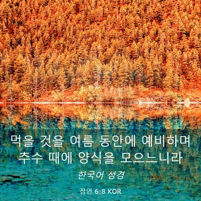 Picture 03 - 잠언 6:8 KOR - 먹을 것을 여름 동안에 예비하며 - Bible Verse Picture