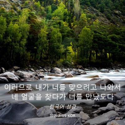 Picture 03 - 잠언 7:15 KOR - 이러므로 내가 너를 맞으려고 나와서 - Bible Verse Picture