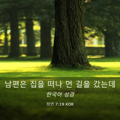 Picture 03 - 잠언 7:19 KOR - 남편은 집을 떠나 먼 길을 - Bible Verse Picture