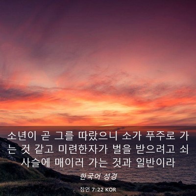 Picture 03 - 잠언 7:22 KOR - 소년이 곧 그를 따랐으니 소가 - Bible Verse Picture