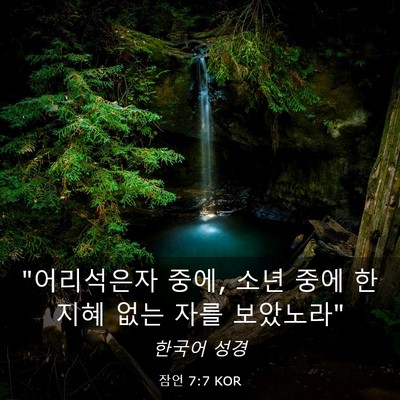 Picture 03 - 잠언 7:7 KOR - 