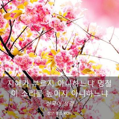 Picture 03 - 잠언 8:1 KOR - 지혜가 부르지 아니하느냐 명철이 - Bible Verse Picture