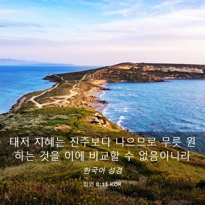 Picture 03 - 잠언 8:11 KOR - 대저 지혜는 진주보다 나으므로 무릇 - Bible Verse Picture