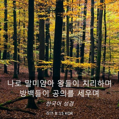 Picture 03 - 잠언 8:15 KOR - 나로 말미암아 왕들이 치리하며 - Bible Verse Picture
