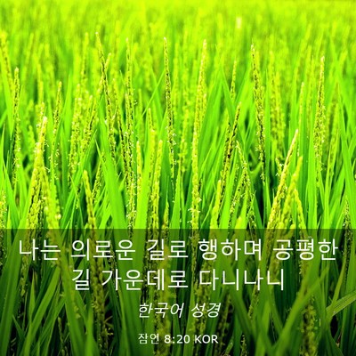 Picture 03 - 잠언 8:20 KOR - 나는 의로운 길로 행하며 공평한 길 - Bible Verse Picture