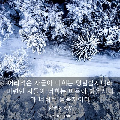 Picture 03 - 잠언 8:5 KOR - 어리석은 자들아 너희는 - Bible Verse Picture
