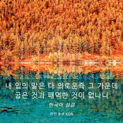 Picture 03 - 잠언 8:8 KOR - 내 입의 말은 다 의로운즉 그 가운데 - Bible Verse Picture