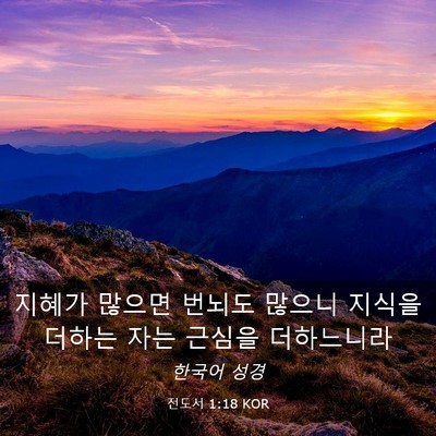 Picture 03 - 전도서 1:18 KOR - 지혜가 많으면 번뇌도 많으니 지식을 - Bible Verse Picture