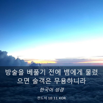 Picture 03 - 전도서 10:11 KOR - 방술을 베풀기 전에 뱀에게 물렸으면 - Bible Verse Picture