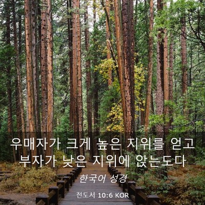 Picture 03 - 전도서 10:6 KOR - 우매자가 크게 높은 지위를 얻고 - Bible Verse Picture