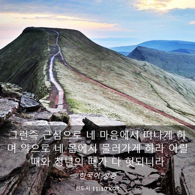 Picture 03 - 전도서 11:10 KOR - 그런즉 근심으로 네 마음에서 떠나게 - Bible Verse Picture