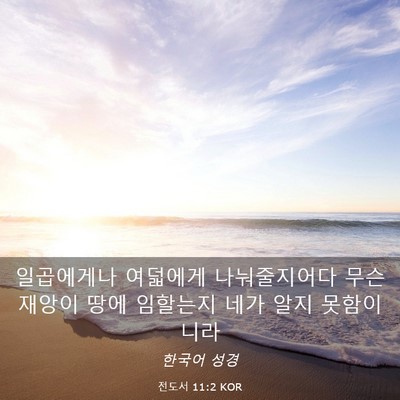 Picture 03 - 전도서 11:2 KOR - 일곱에게나 여덟에게 나눠줄지어다 - Bible Verse Picture