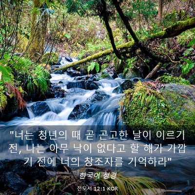 Picture 03 - 전도서 12:1 KOR - 