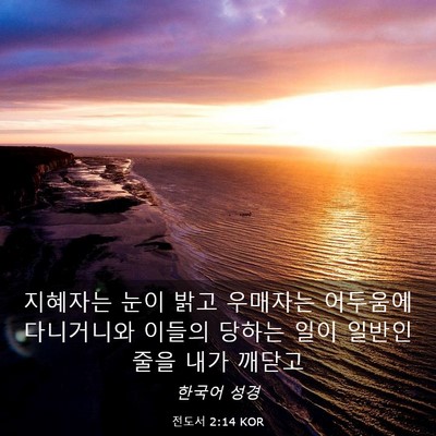 Picture 03 - 전도서 2:14 KOR - 지혜자는 눈이 밝고 우매자는 - Bible Verse Picture