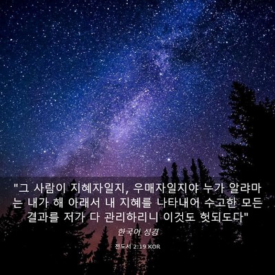 Picture 03 - 전도서 2:19 KOR - 