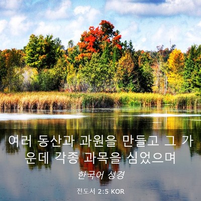 Picture 03 - 전도서 2:5 KOR - 여러 동산과 과원을 만들고 그 - Bible Verse Picture