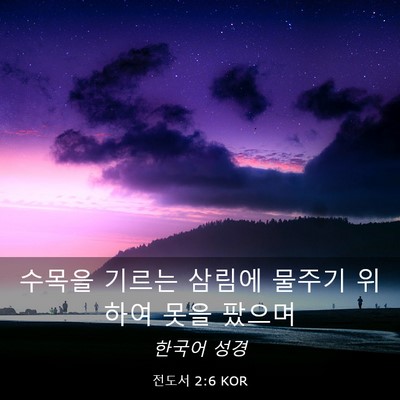 Picture 03 - 전도서 2:6 KOR - 수목을 기르는 삼림에 물주기 위하여 - Bible Verse Picture